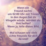 Erik Voigt - @voigt4623 - Instagram