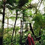 Erik Wagner - @jerik.wagner - Instagram