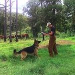 Erik Wagner - @erik.wagner.397 - Instagram