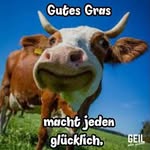 Erik Wegner - @aggrostyle_ - Instagram