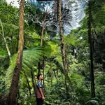 Erik Khemara Westman - @khemarawestman - Instagram