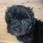 Erik Westman - @westman740 - Instagram