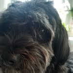 Erik westman - @e.westman - Instagram