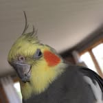 Erik Westman - @_etok_ - Instagram