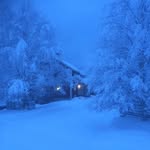 Kjell-Erik Westman - @westmankjellerik - Instagram
