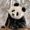 erikwiener_hmb - @erikwiener_hmb - TikTok