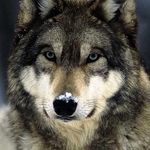 Erik Wilhelm - @ewilhelm72 - Instagram