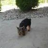 erikwilhelm70 - @erikwilhelm70 - TikTok