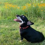 Erik Wright - @covering_miles614 - Instagram