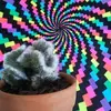 Erik Yates380 - @user734514224512 - TikTok