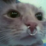 erik yates - @erik_yates_ - Instagram