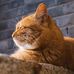 Erik Zhao - Facebook