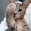 Erik Zimmermann - @erbimt - TikTok