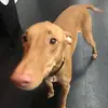 Erika Allison - @erika.allison - TikTok