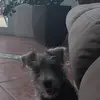 Erika Arce - @erika.arce4 - TikTok