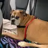 Erica Atchison - @ericaatchison - TikTok