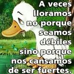 Erika Barrientos - @barrientos3871 - Instagram