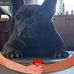 Erika Barta - Facebook