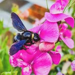 erik_a.blume - @erik_a.blume - Instagram