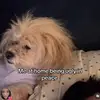 69 Borntobewild89 - @erika.borntobew - TikTok