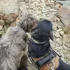 erikacarbone5 - @erikacarbone5 - TikTok