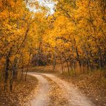 Erika Chambers - @coloradowander - Instagram