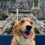 Erika Chang - @corgi_april - Instagram