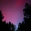 Erika Cline - @erikacline2 - TikTok