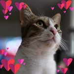 Erica Cramer - @erica.cramer.5 - Instagram