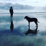 Erika Cramer - @creature.crafter - Instagram