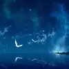 Erika Do - @erid_gaming - TikTok