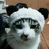erika_doo1 - @erika_doo1 - TikTok