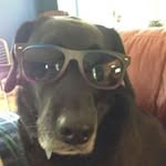 Erica Dodge - @e6715dodge - Instagram