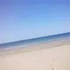 Erika Civin-Dodge - @erikacivindodge - TikTok
