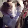 erica donald - @erica.donald0 - TikTok