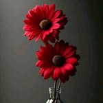 Erika Muller MacDonald - @erika_mac_donald - Instagram