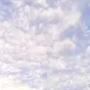 erikadoss7 - @erieri19 - TikTok