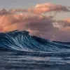 Erica Downing - @erica.downing61 - TikTok