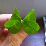 Erica Dutton - @erica.dutton.129 - Instagram