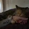 erikaeberhardt7 - @erikaeberhardt7 - TikTok