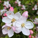 Erika Egger - @egger6419 - Instagram
