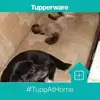 erikaeggers1 - @erikaeggers1 - TikTok