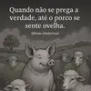 ElderErika Bezos Lemann - @eldererika.bezos - TikTok
