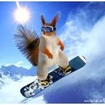 Erika Gainey - @squirrellygirly98 - Instagram