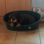 Erika Gerlach - Facebook