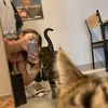 Erika Haas - @erikaahaas - TikTok