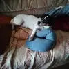 erikaharder12 - @erikaharder12 - TikTok
