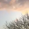 Erika - @erikahay - TikTok