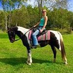 Erika Heller - @hilltophavendesigns - Instagram