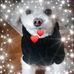 Erika Heller - Facebook